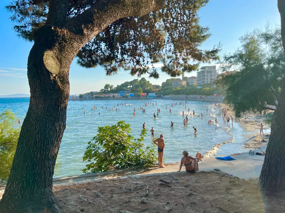 Bačvice beach seen through pine and olive trees with the promenade and buildings behind