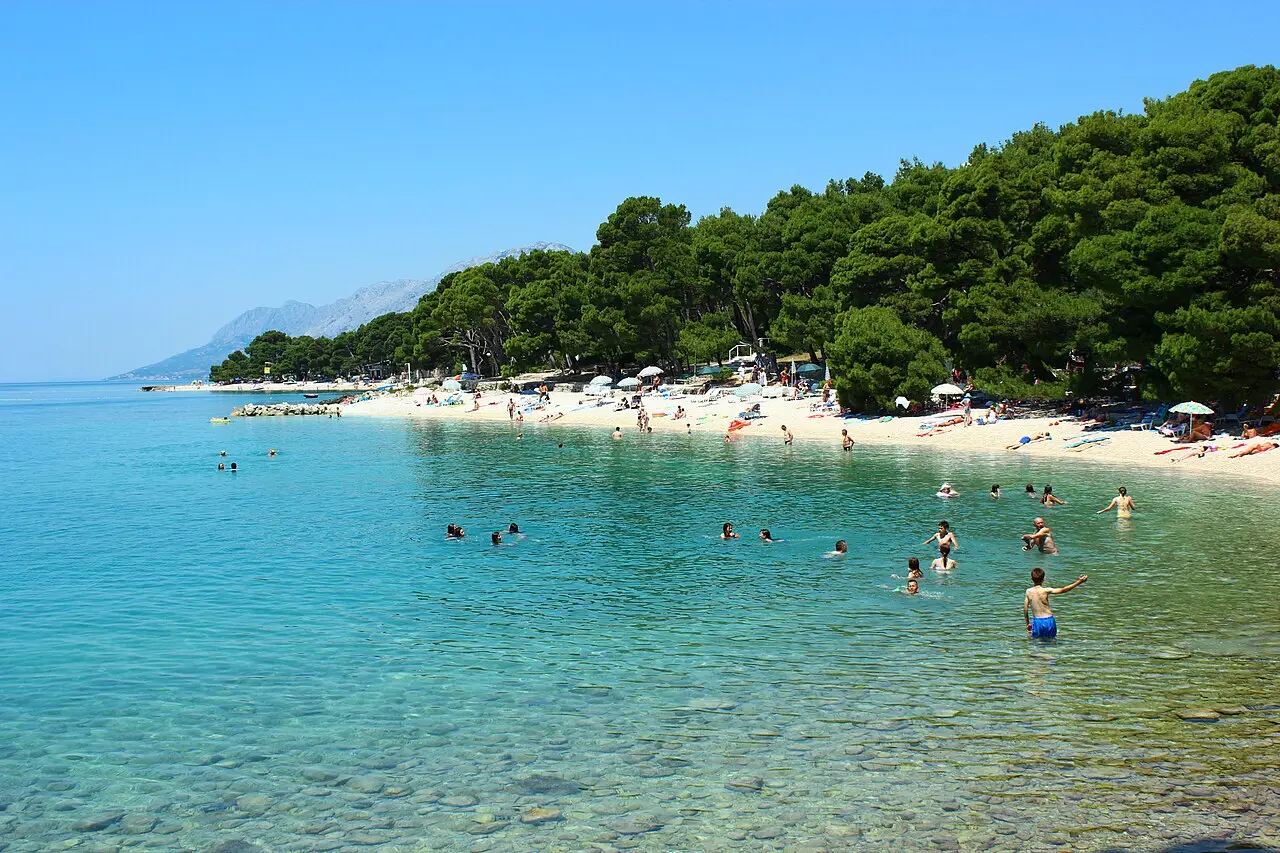 Pine-backed pebble beach and clear shallows at Brela on the Makarska Riviera