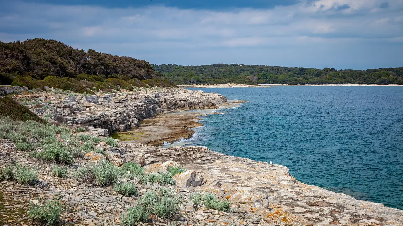 The rocky shore and dense green woods of Veliki Brijun island under an Adriatic sky