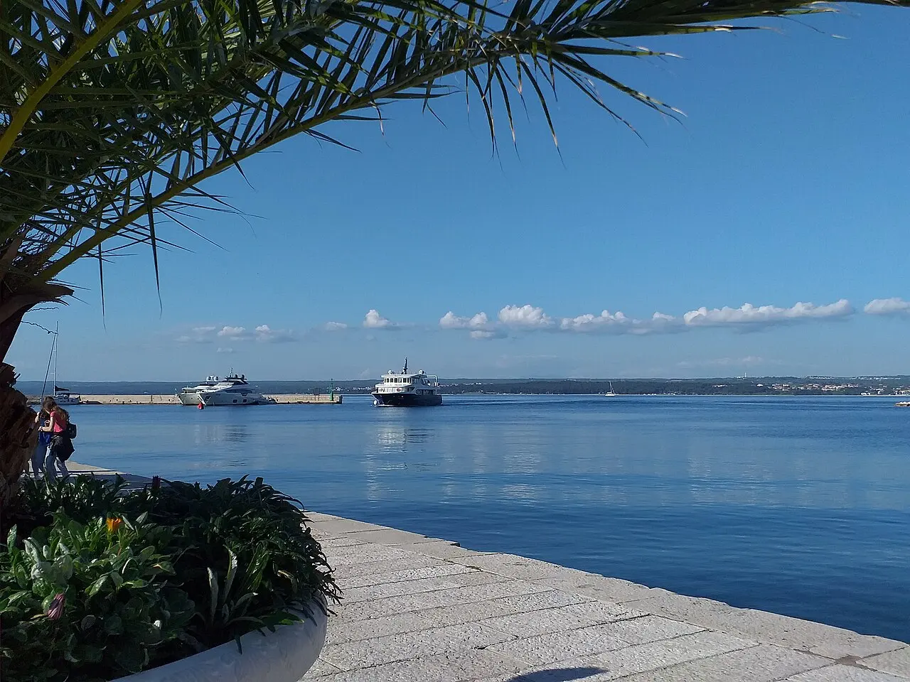 A white park boat moored at the quay on Veliki Brijun, seen past a palm frond, with the Istrian mainland across the channel