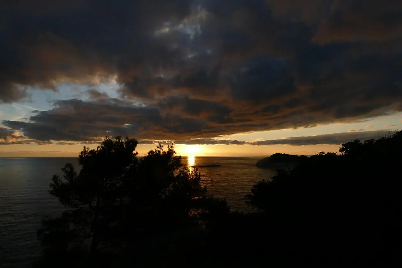 Sunset over the sea from the wooded shore above Cavtat, pine branches in silhouette