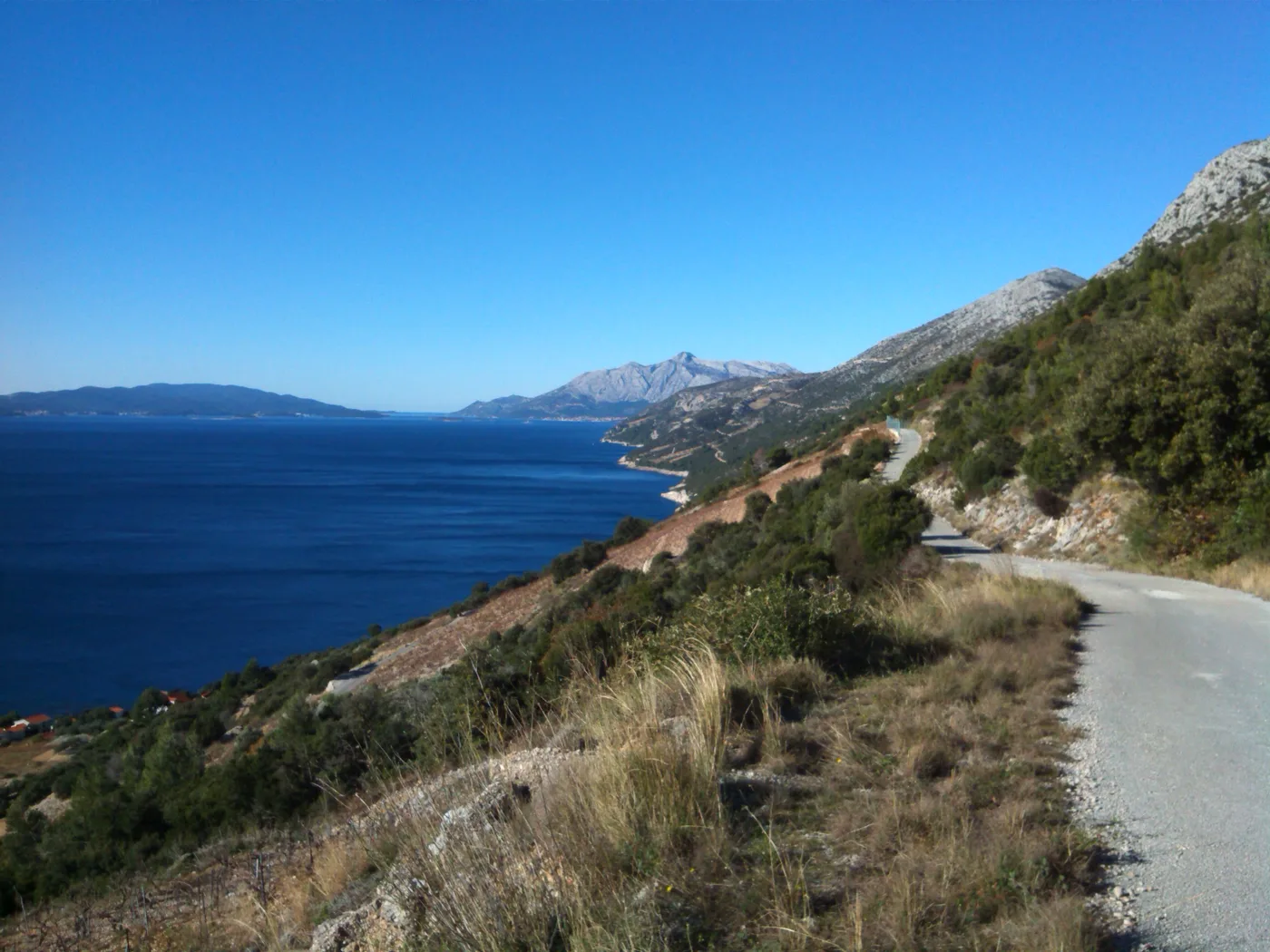 The steep coastal Dingač vineyards on the Pelješac peninsula dropping toward the Adriatic