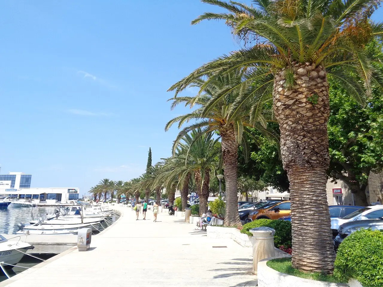 A palm-lined riva promenade on the Croatian coast