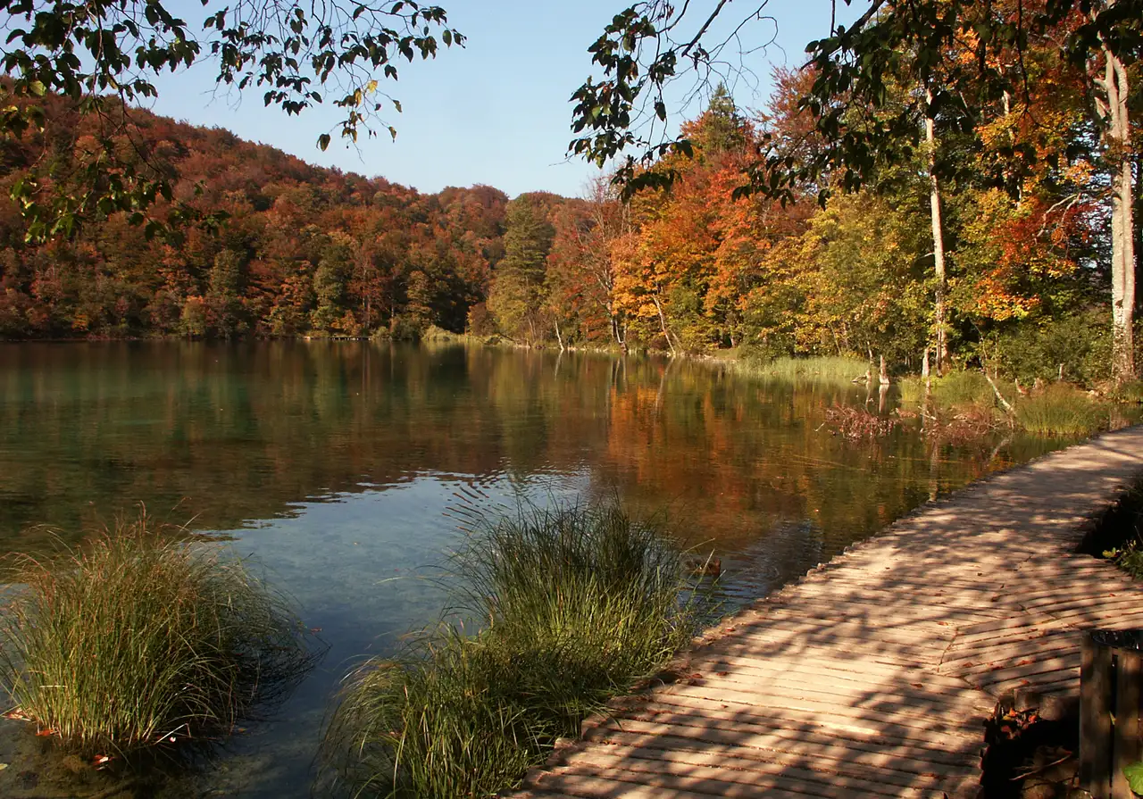 A boardwalk beside a Plitvice Lakes pool ringed by beech and maple trees in full autumn colour