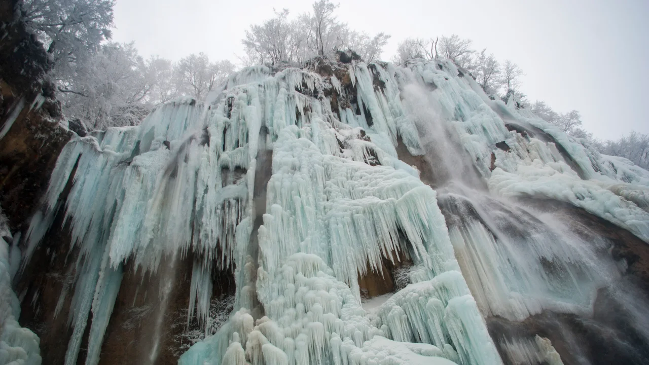 A wall of blue-white icicles over the frozen Veliki Slap at Plitvice Lakes, with frosted trees along the top