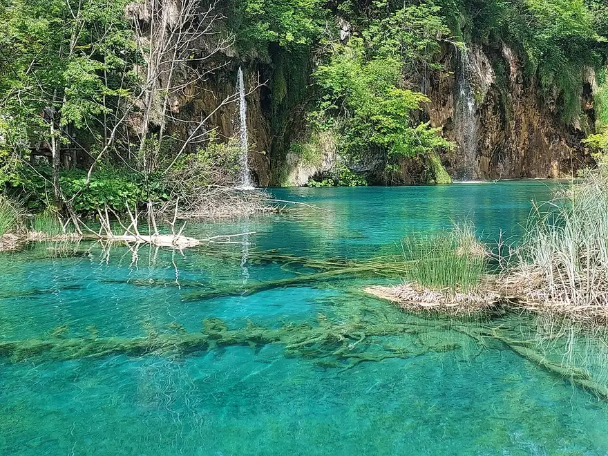 Clear turquoise water with submerged fallen logs and small waterfalls over mossy rock at Plitvice Lakes