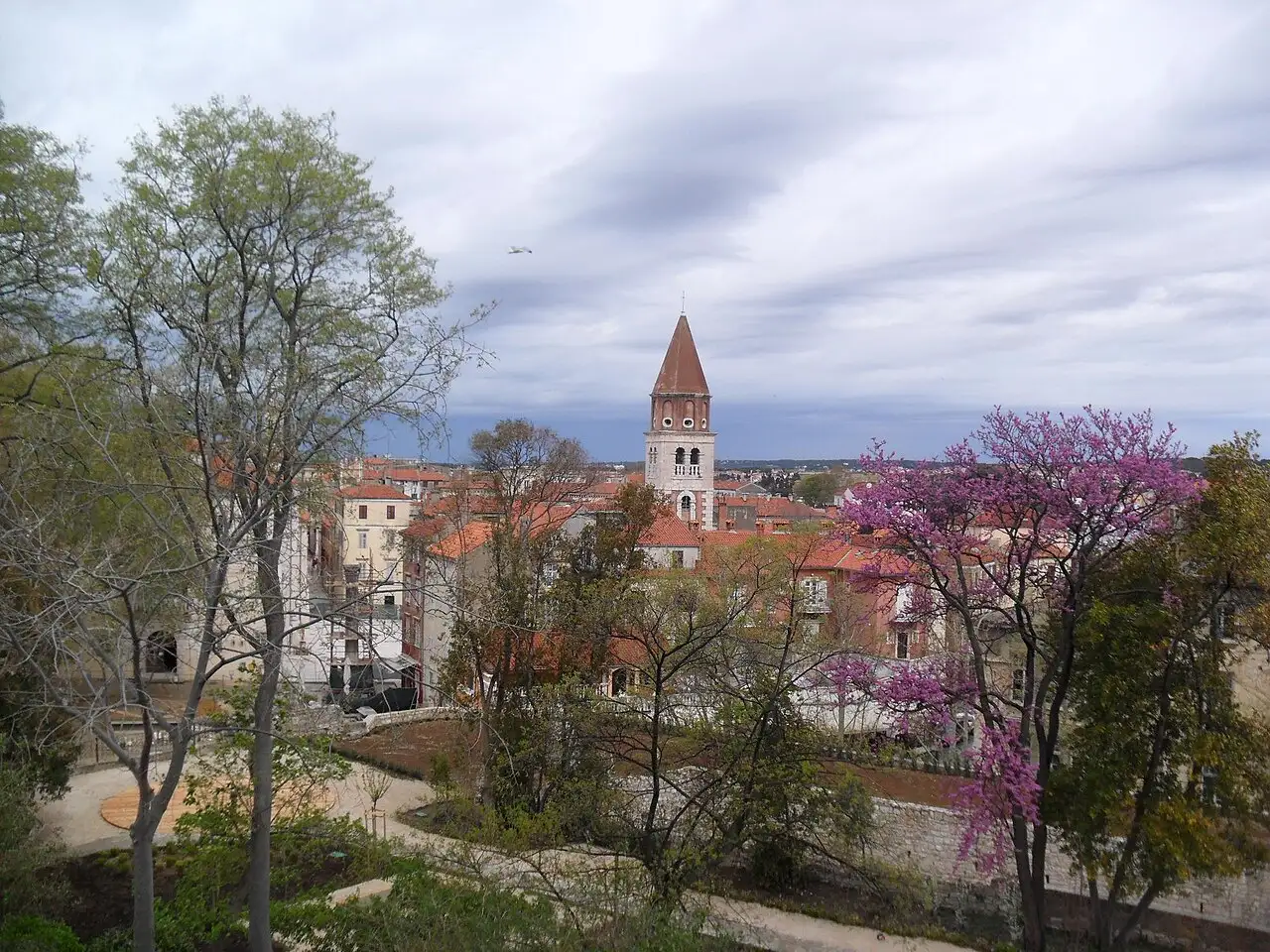The rooftops and a tall stone bell tower of Zadar old town, with a pink flowering tree in spring