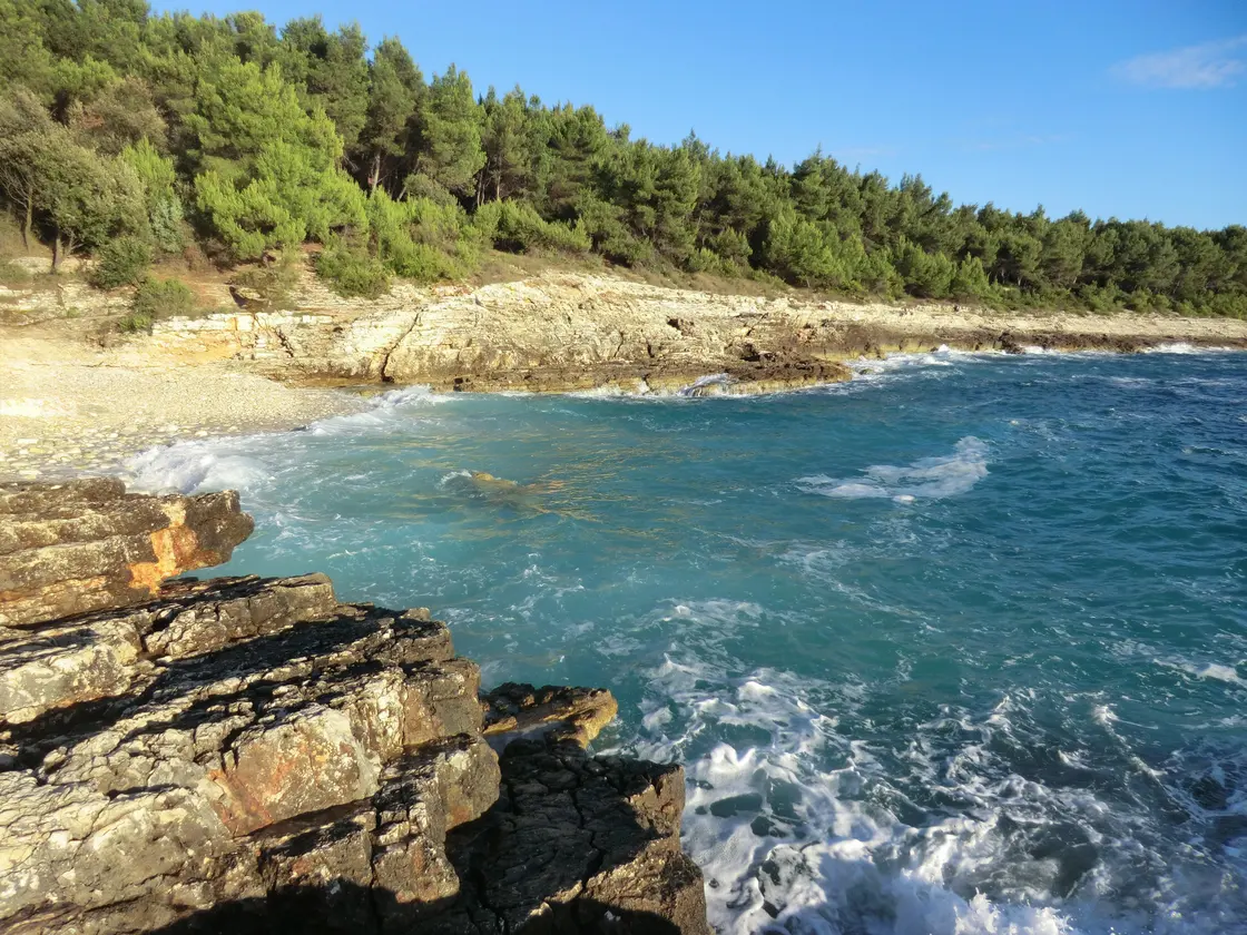 A rocky pine-fringed cove on the Istrian coast with choppy teal water breaking on limestone slabs