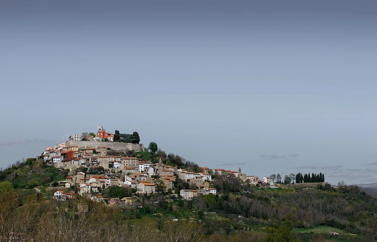 The walled hill town of Motovun rising above green vineyards and forest in inland Istria