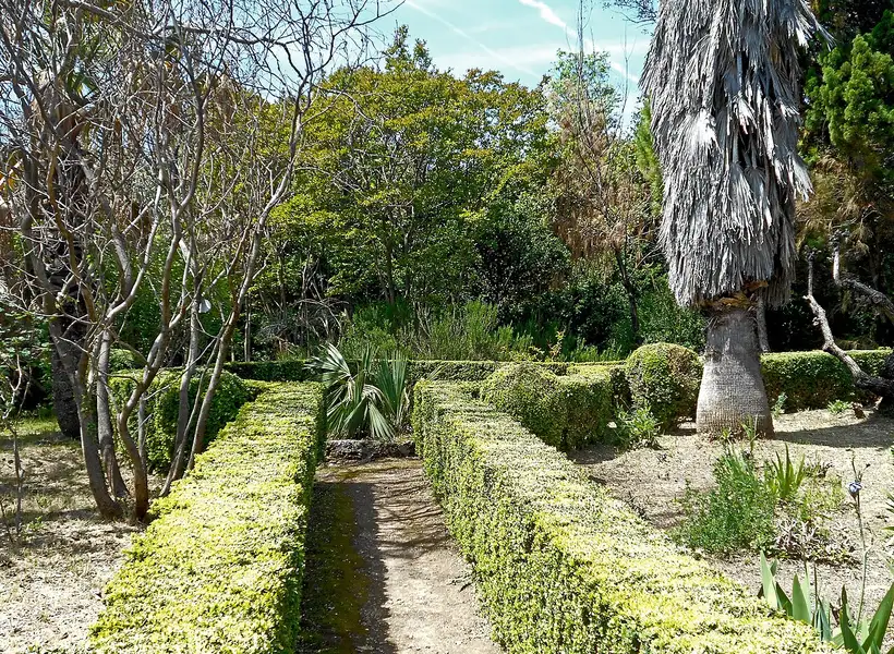 The clipped hedges and formal paths of Trsteno Arboretum near Dubrovnik