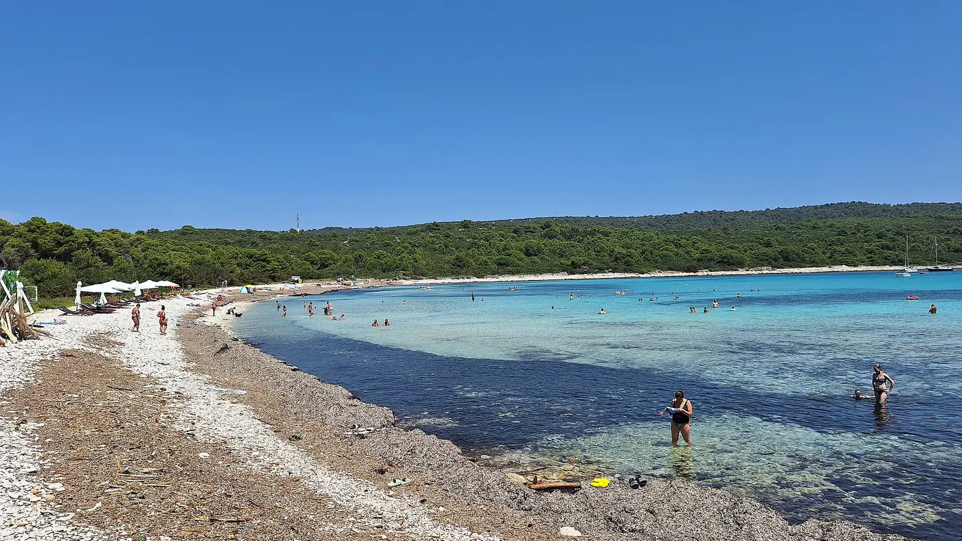 White sand and turquoise shallows of Sakarun beach on Dugi Otok, with pines along the bay