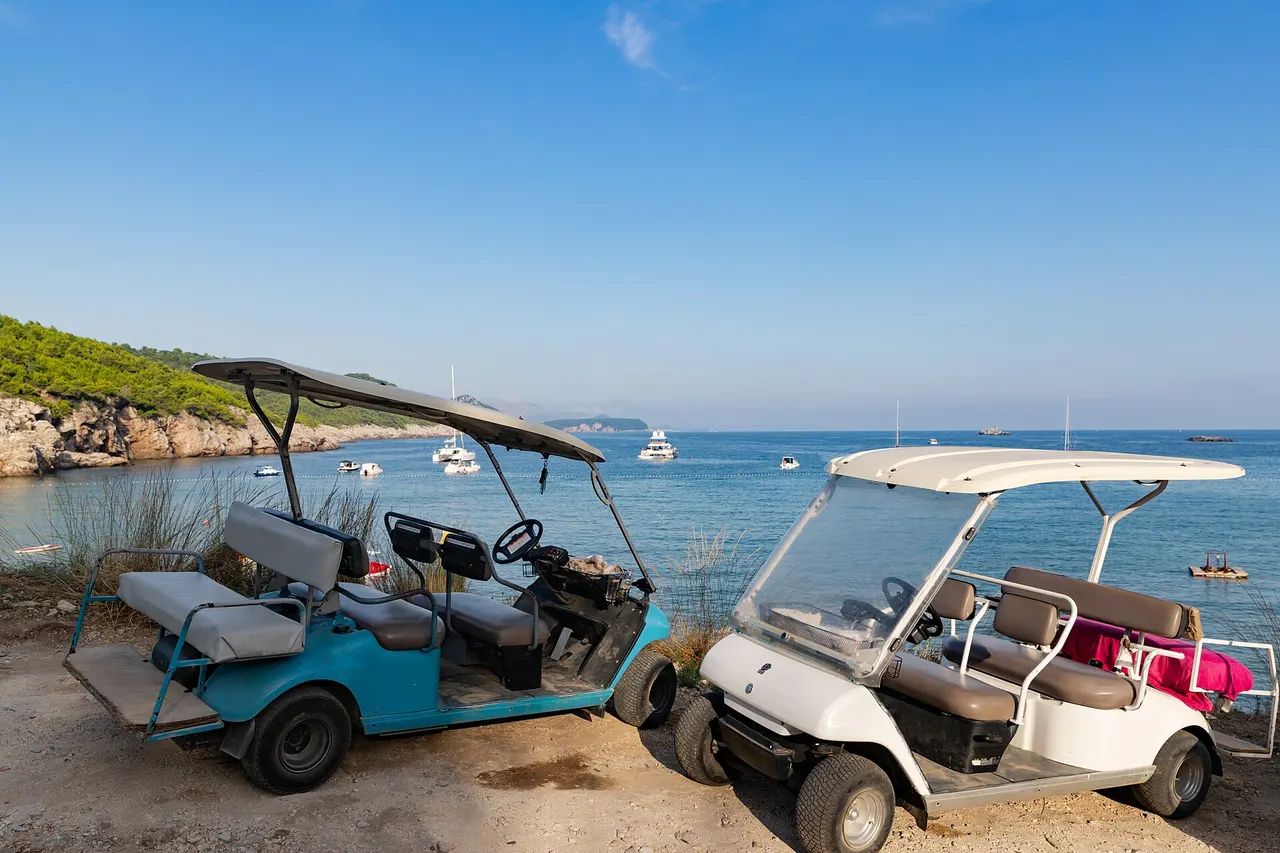 Two electric golf carts parked on a dirt path above a pine-fringed bay with boats at anchor