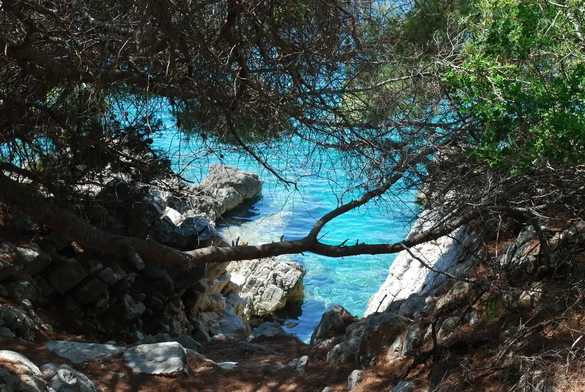 The inland town of Blato on Korčula island with an avenue of lime trees and stone houses
