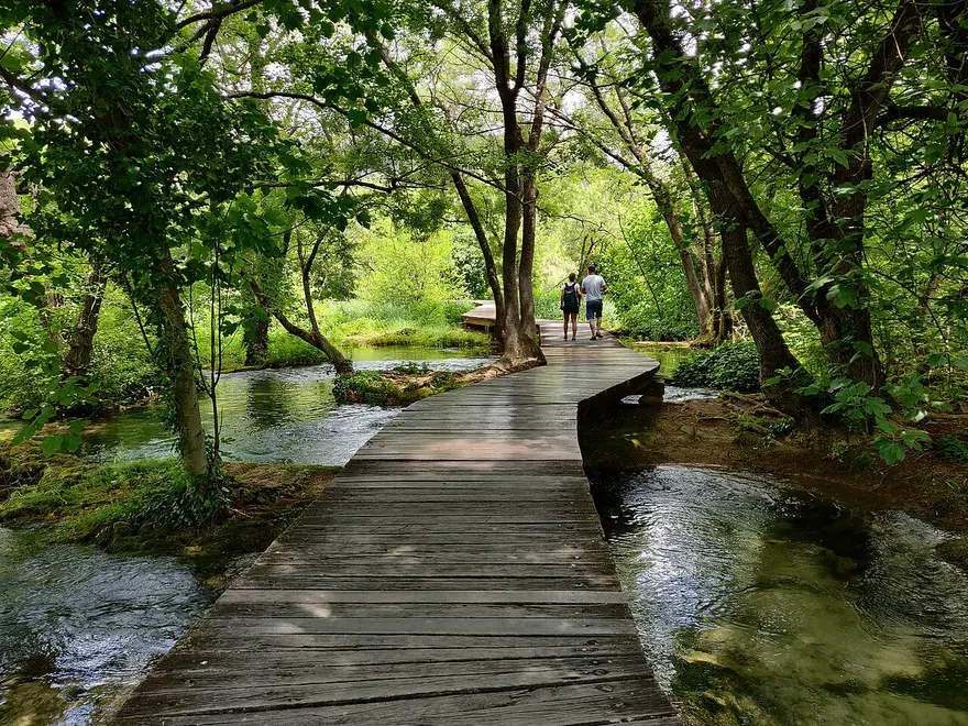 Visitors on a wooden boardwalk path through forest at Krka National Park