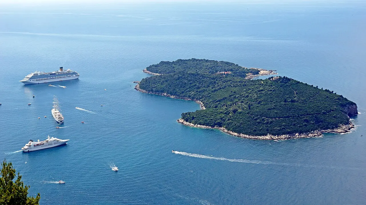 The wooded island of Lokrum seen from above with cruise ships anchored offshore from Dubrovnik