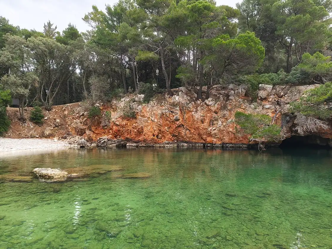 The saltwater lake known as Mrtvo more on Lokrum, green water below a low rocky bank and pines