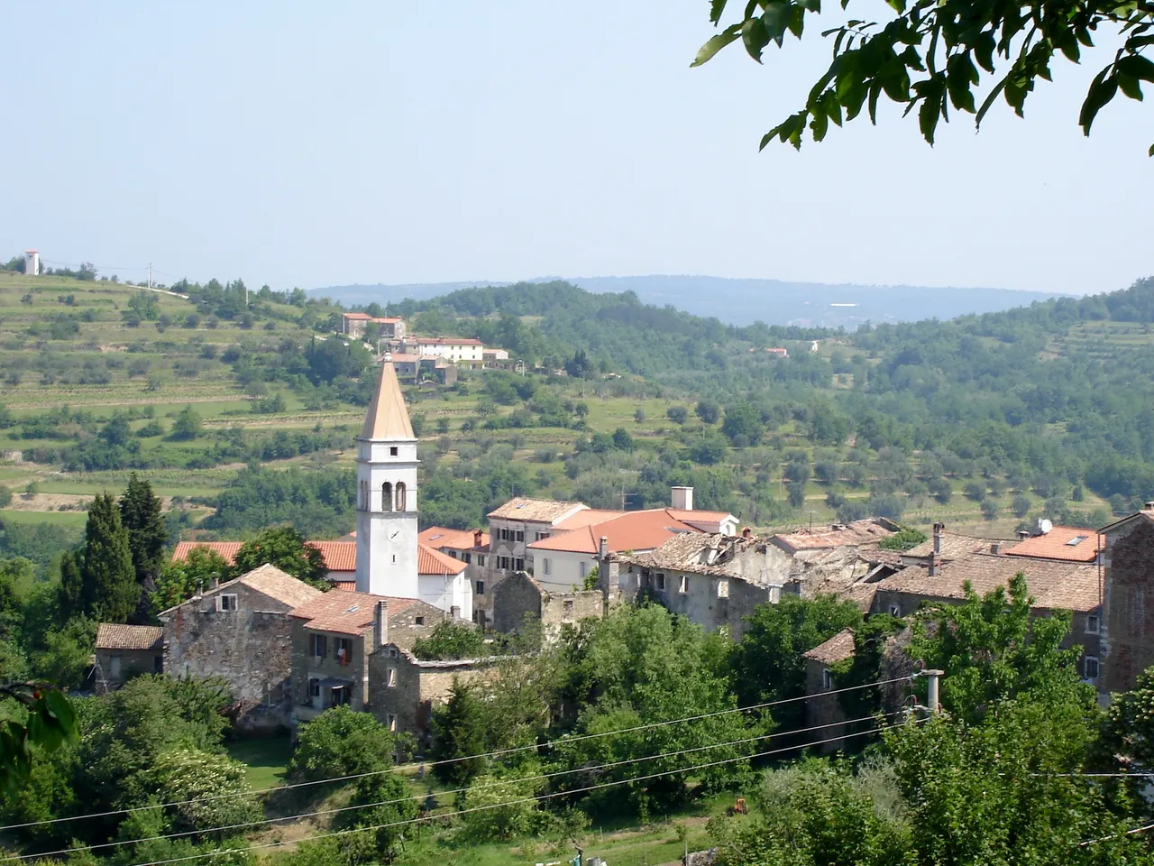 The village of Momjan in Istria with its stone houses and white bell tower, terraced vineyards and olive groves on the hills behind