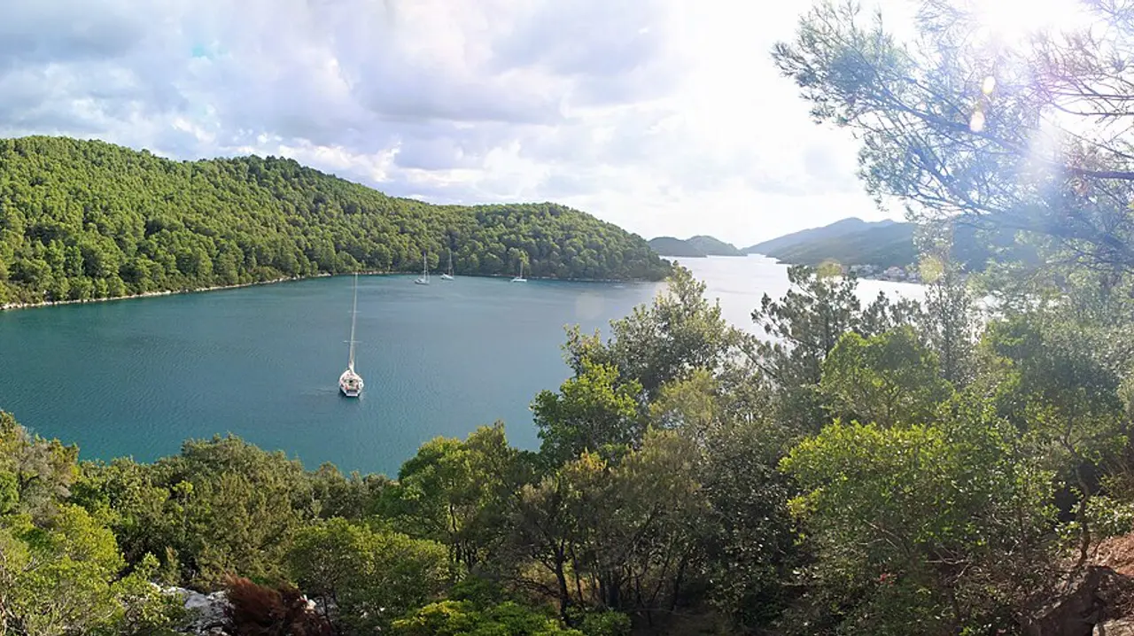 The green forested coast of Mljet island near Polače seen from above, with the blue Adriatic and scattered islets