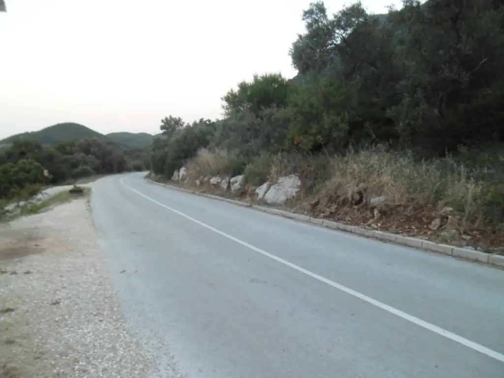 The quiet main road running through the pine forest along the spine of Mljet island