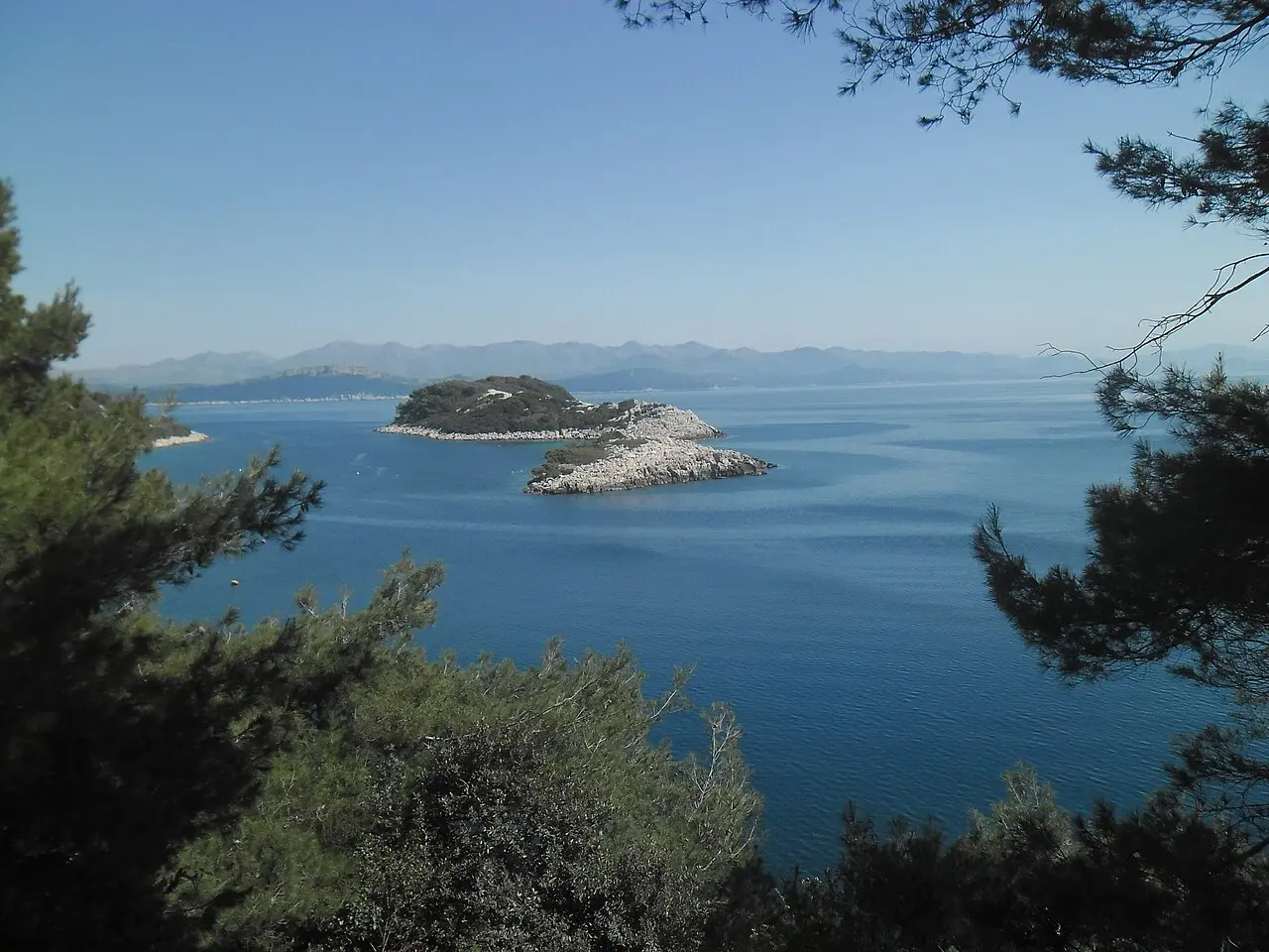 The wide sandy bay of Saplunara at the southeast tip of Mljet, fringed with pine forest and shallow turquoise water