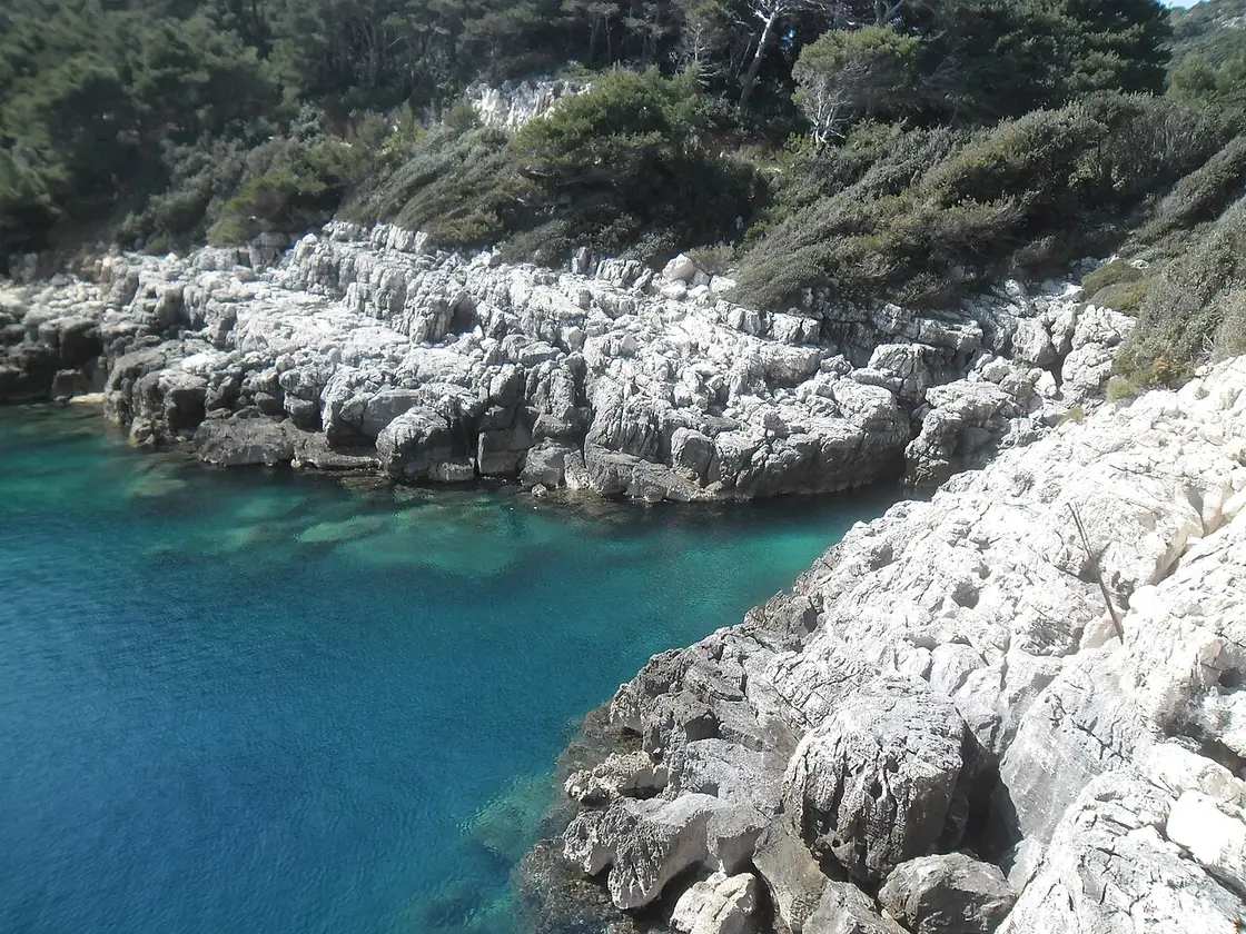 The soft sandy beach at Saplunara on Mljet with shallow clear water and pine trees along the shore