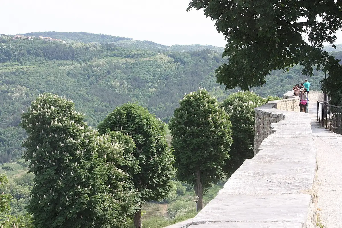 Visitors walking Motovun's medieval ramparts with valley green beyond the battlements