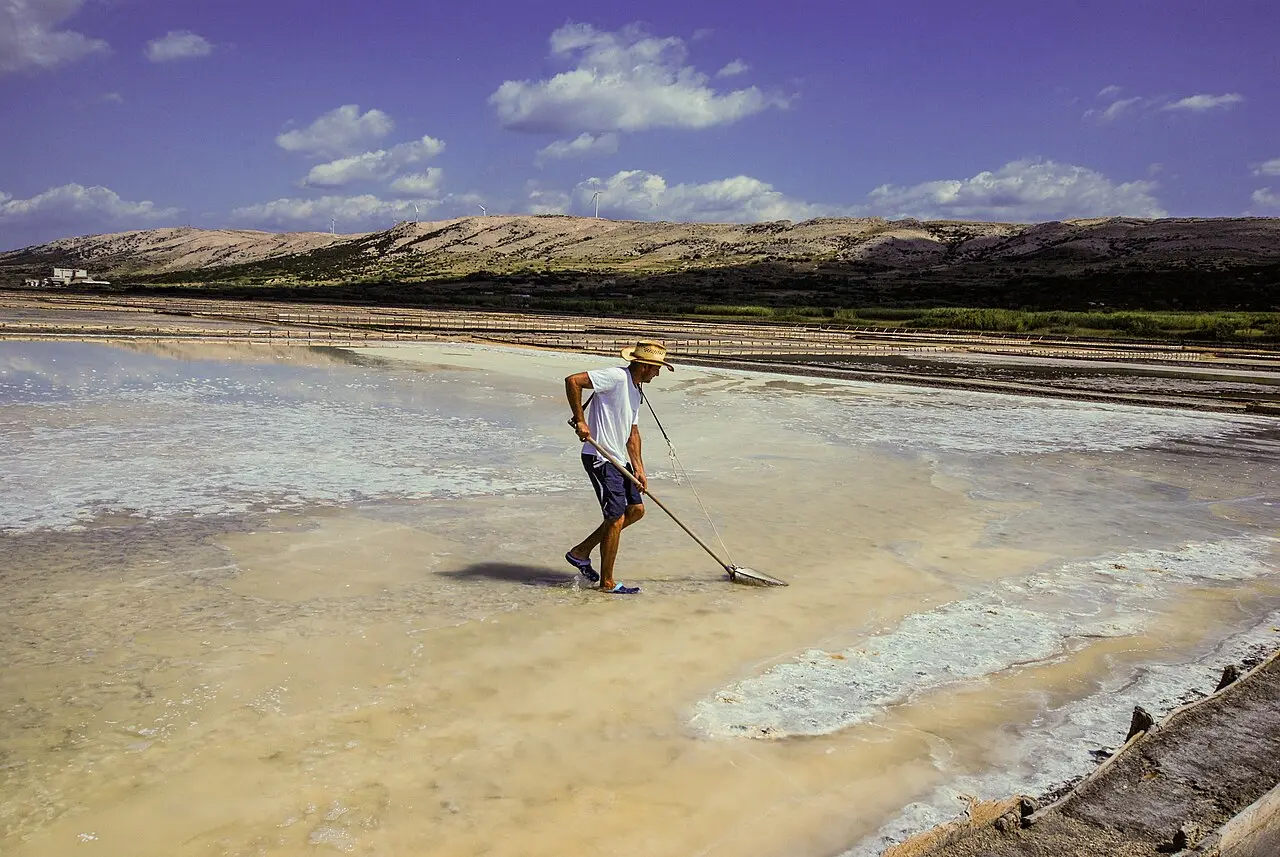 Shallow salt pans on Pag with a white crust of drying sea salt