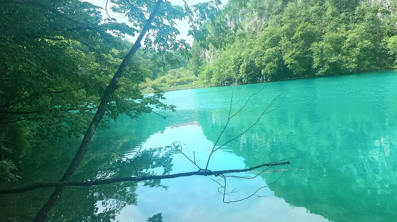 Waterfalls and turquoise lakes among green forest at Plitvice Lakes