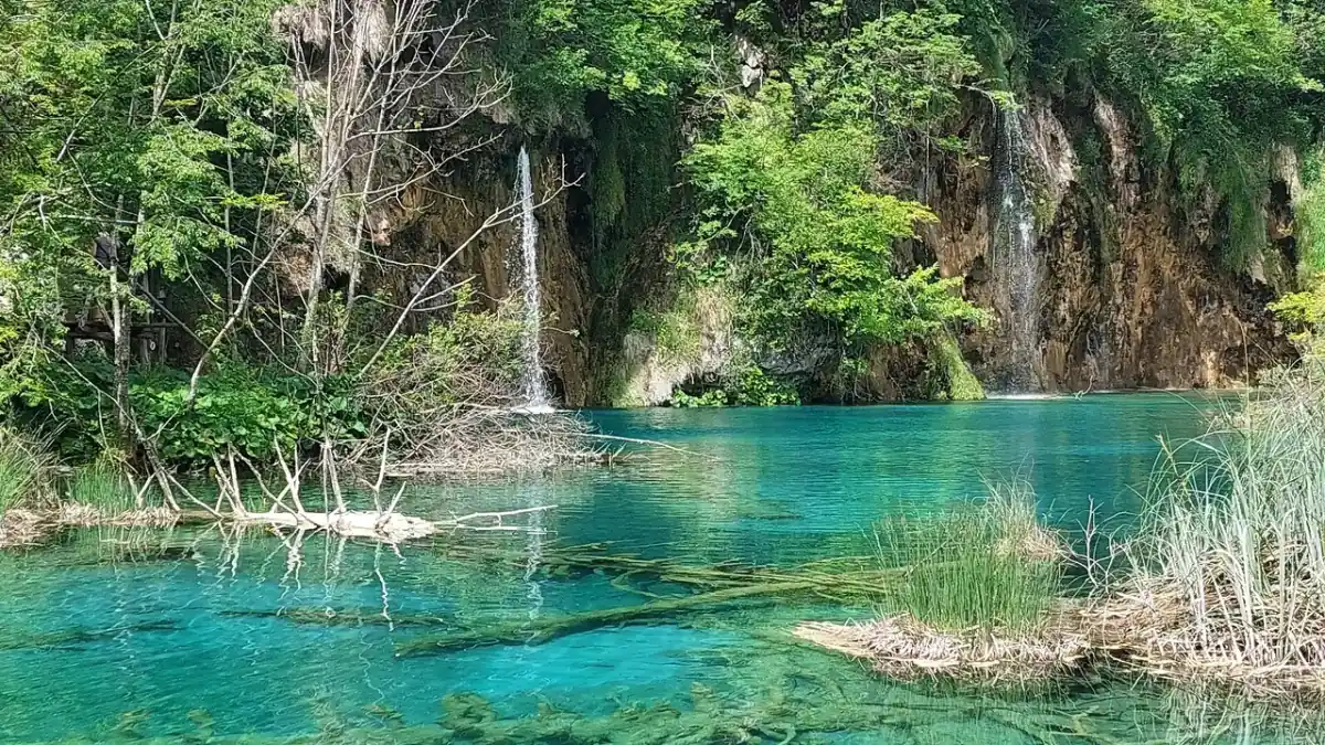 Turquoise pool and small waterfalls in green forest at Plitvice Lakes