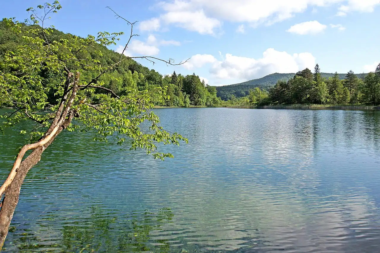 A calm forested upper lake at Plitvice on a clear day