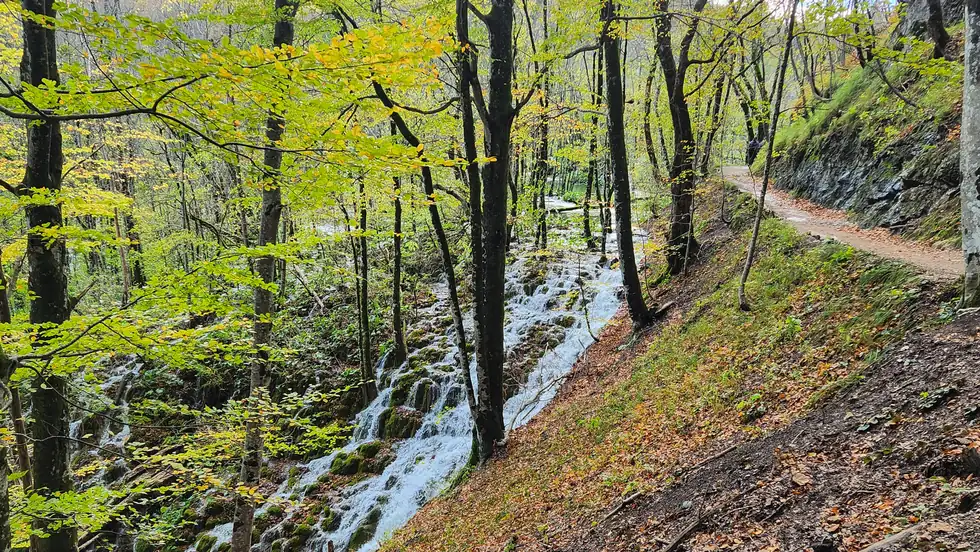 A forest path running beside small cascades in autumn at Plitvice Lakes