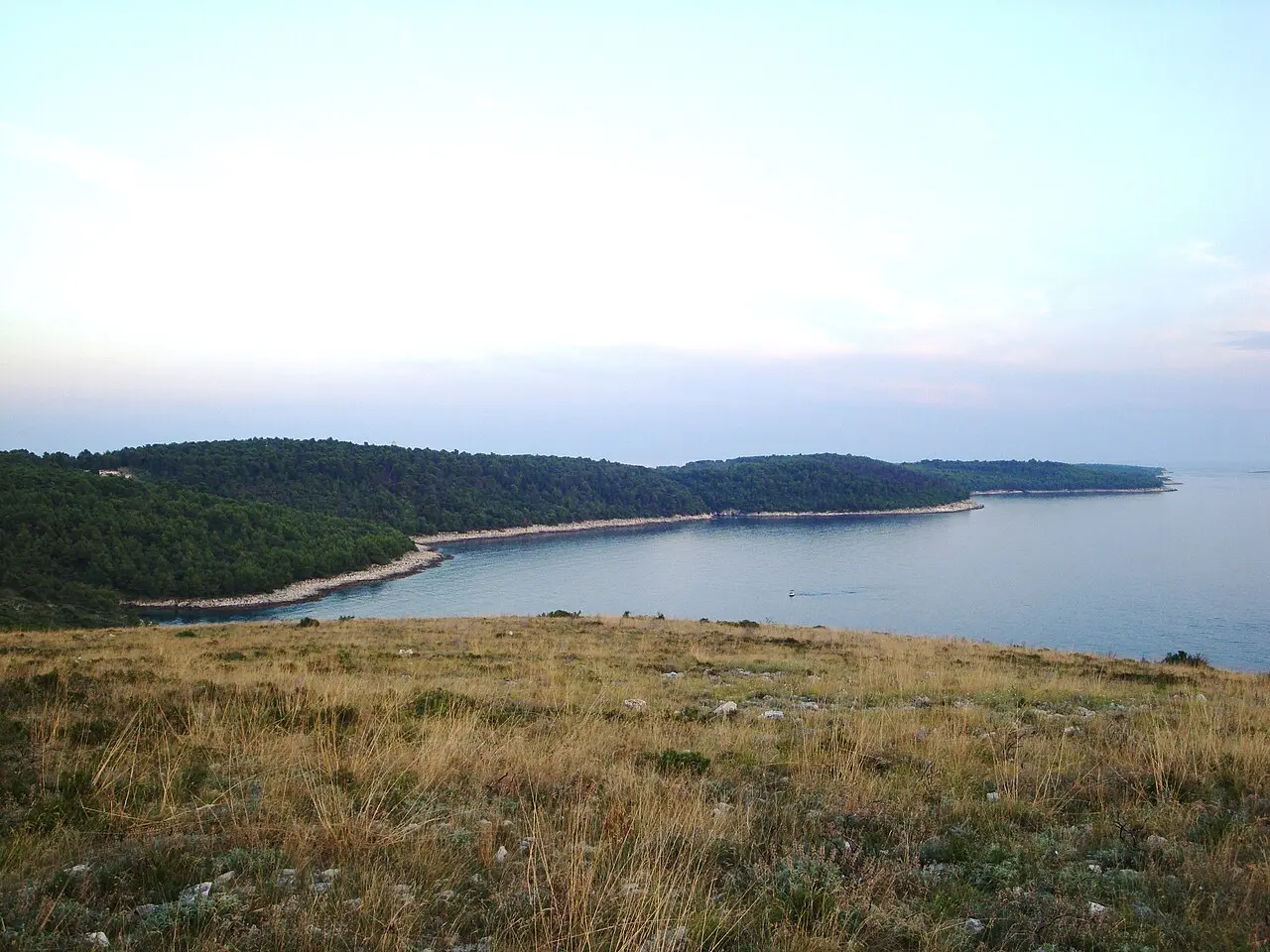 The wild, undeveloped coastline of Cape Kamenjak at the southern tip of Istria, with a forested cape and a quiet cove