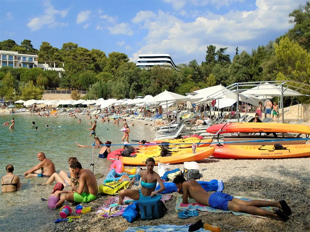 Swimmers on the rocky Mulini beach below pine trees near Rovinj old town