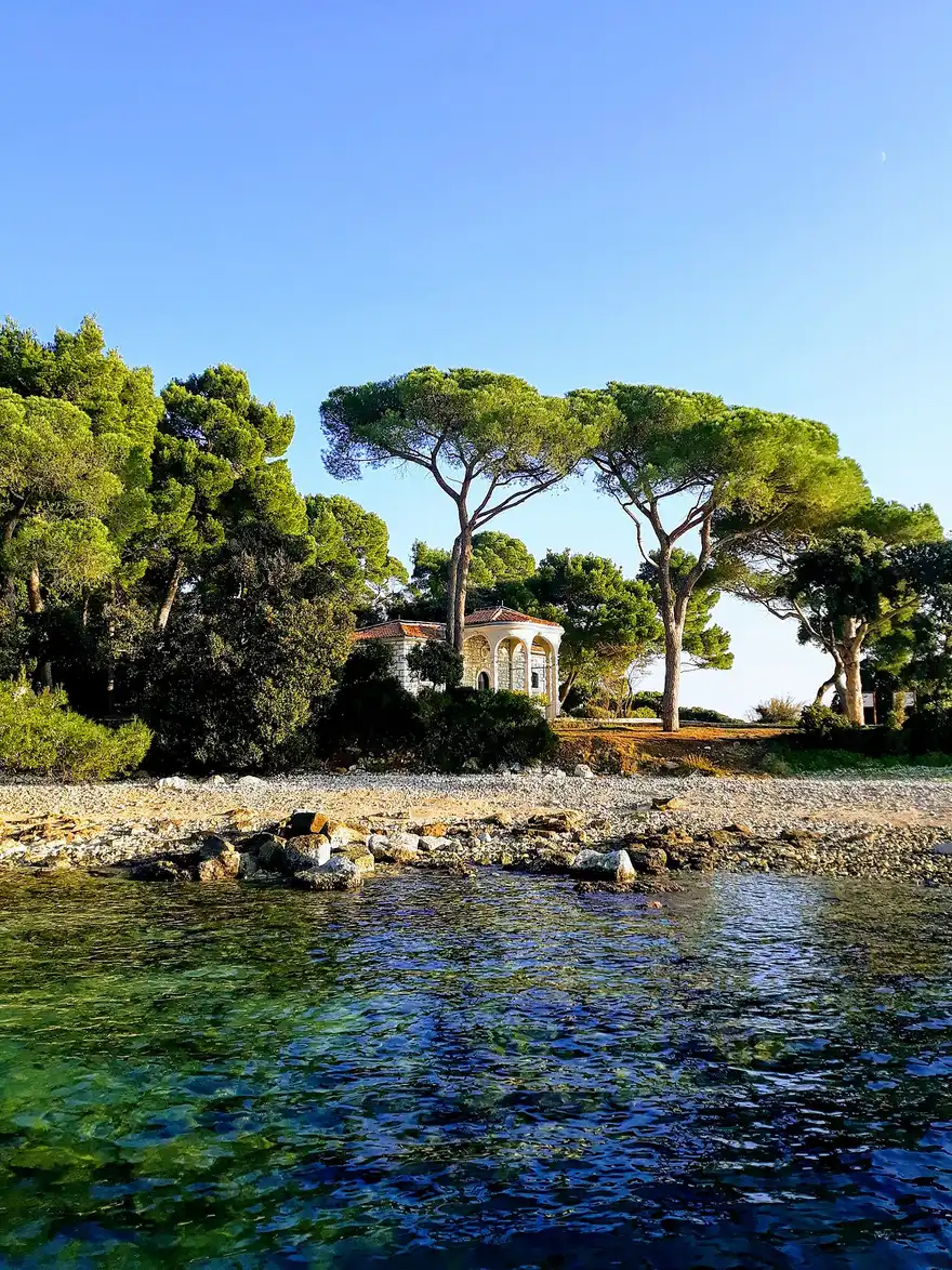 The pine-forested rocky coast of the Punta Corrente (Zlatni rt) park near Rovinj
