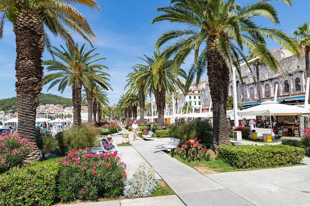 The palm-lined Riva seafront promenade in Split with café terraces and the old town behind