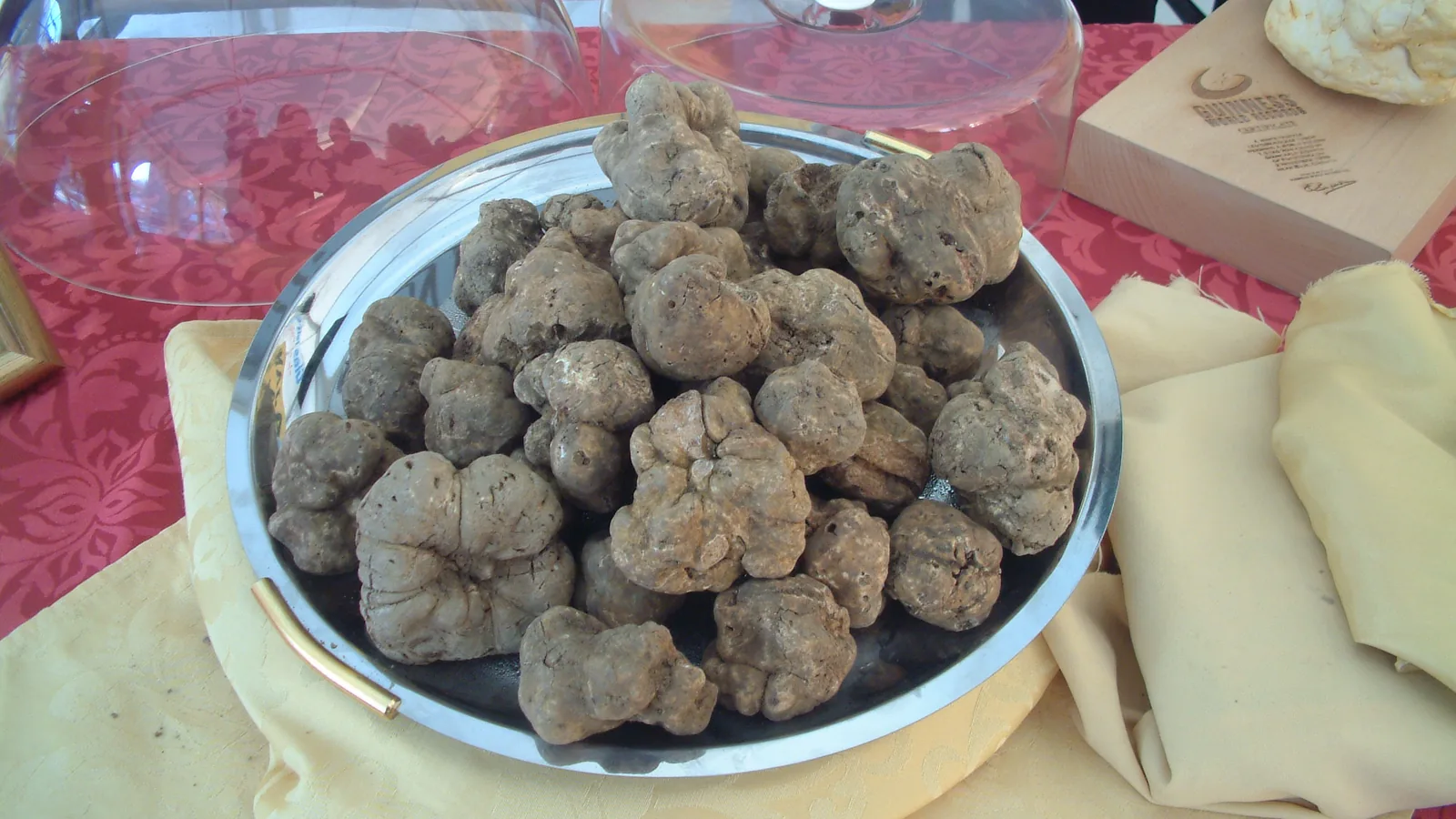 A silver tray piled with Croatian white truffles on a table, with a Guinness World Records certificate box beside it