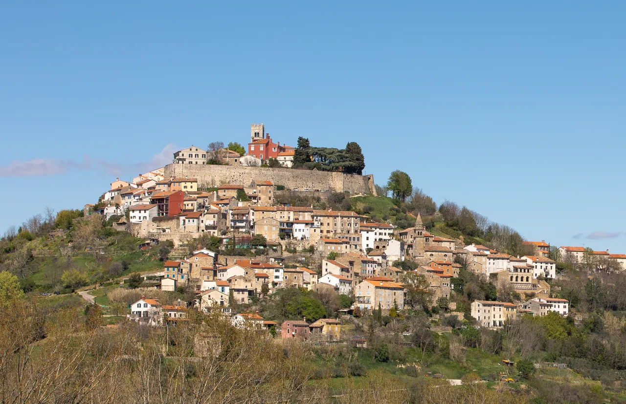 The walled hill town of Motovun in Istria standing above green wooded slopes under a blue sky