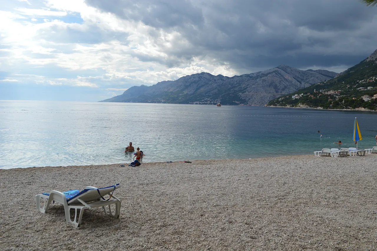 White pebble cove and pine trees at Brela on the Makarska Riviera with clear Adriatic water