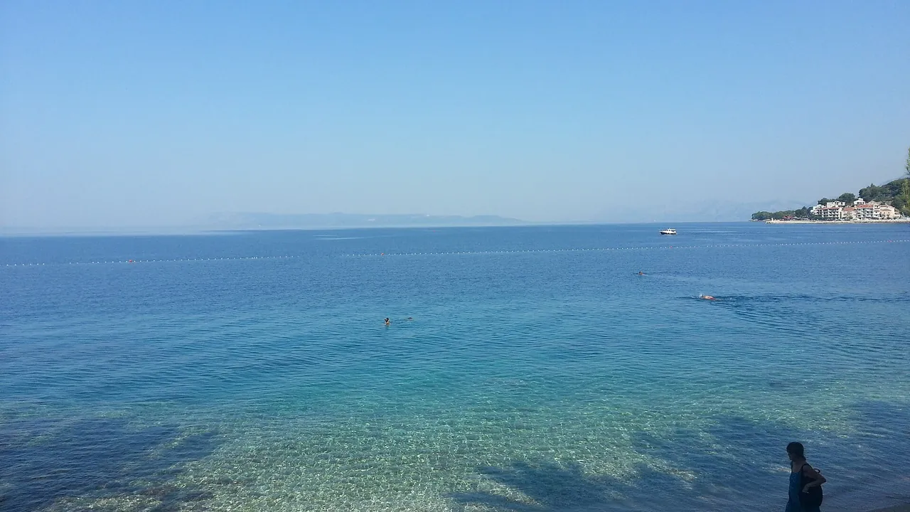 Pine-backed pebble beach at Podgora with the steep Biokovo massif rising behind the shore