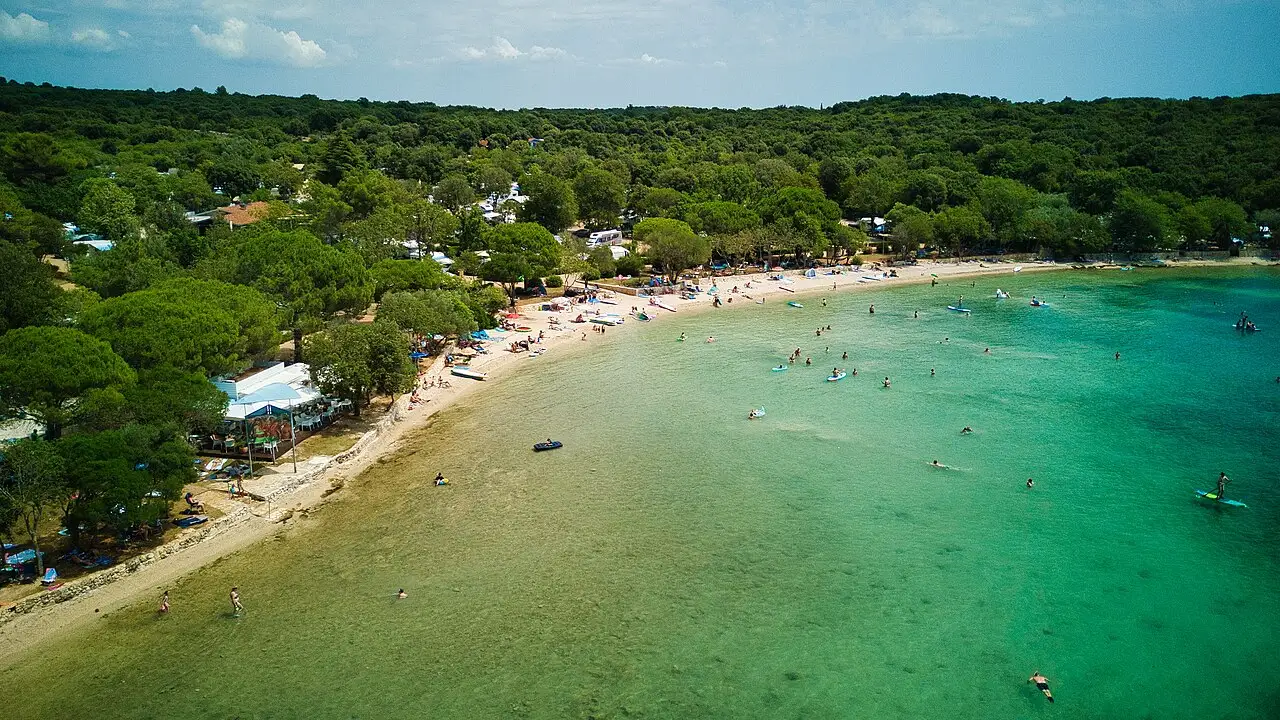 Aerial view of a pine-shaded campsite and pebble beach along the coast near Rovinj, with mobile homes among the trees and swimmers in clear water