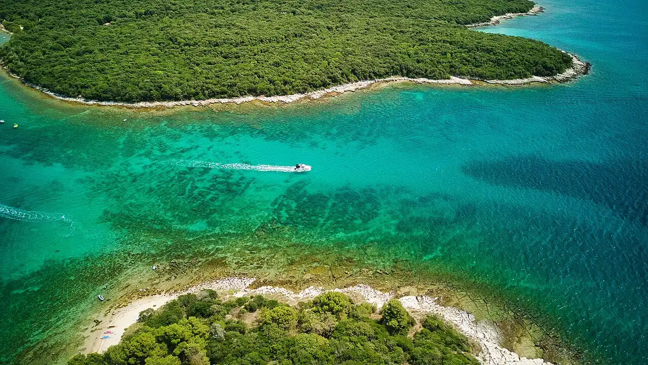 Aerial view of pine-fringed turquoise coastline near Rovinj, the kind of shoreline the Punta Corrente forest park and the resort hotels back onto