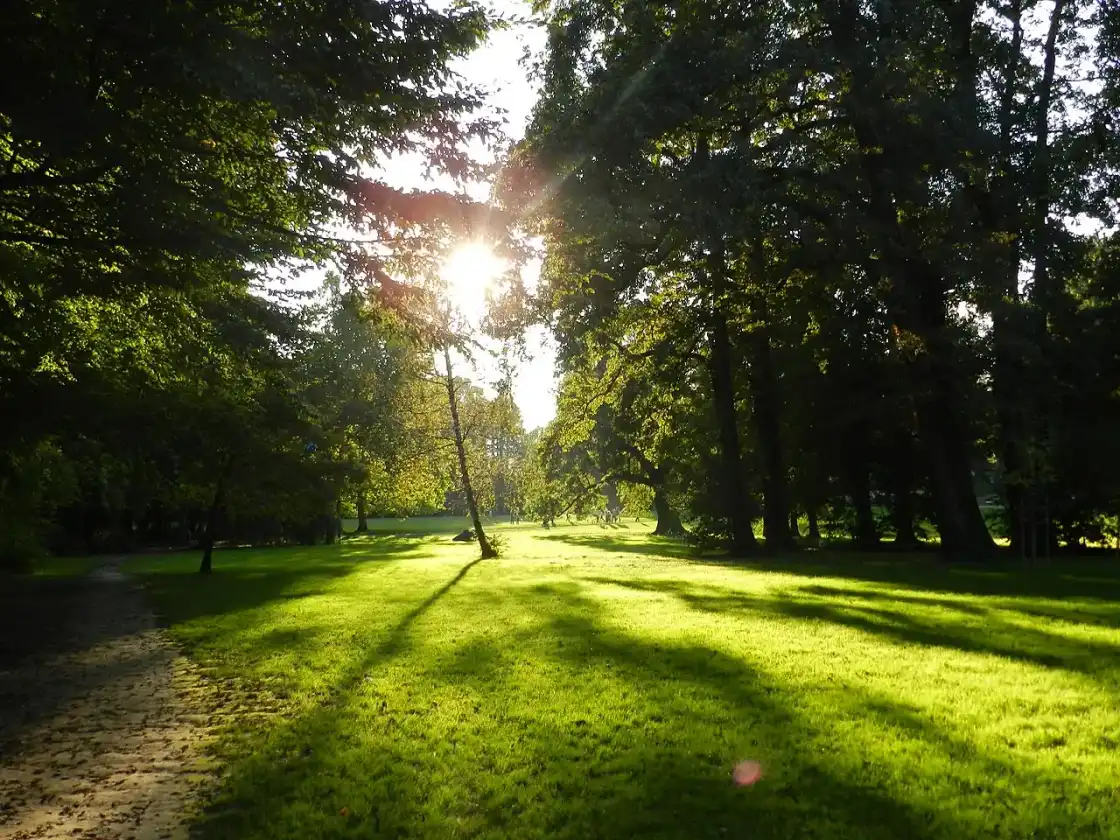 Tree-lined path through Maksimir Park in Zagreb