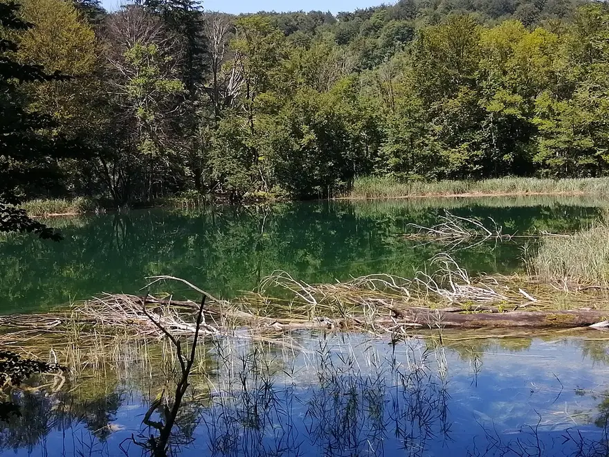 Clear turquoise water of Batinovac lake among the Upper Lakes at Plitvice